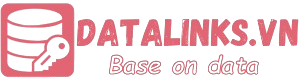 MyLearn Datalinks.Vn