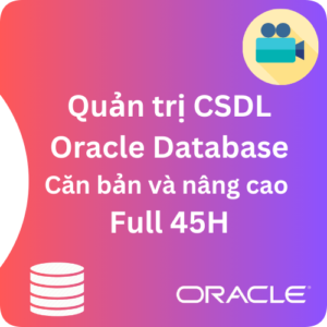 video database do tim